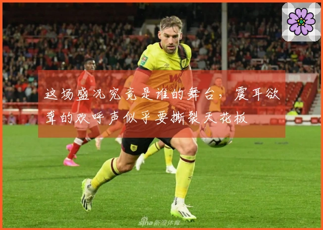 这场盛况究竟是谁的舞台，震耳欲聋的欢呼声似乎要撕裂天花板