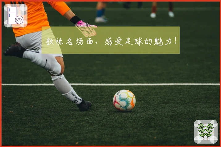 教练名场面，感受足球的魅力！