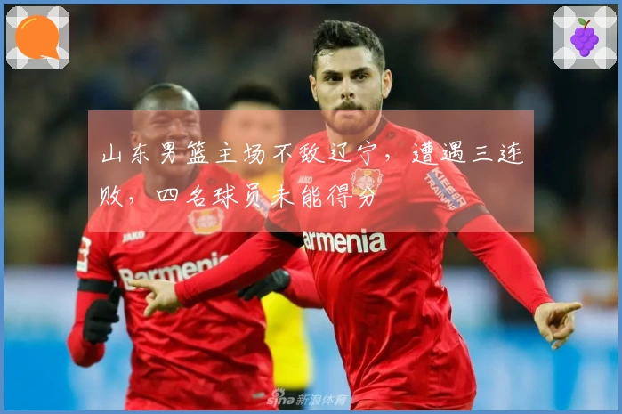 山东男篮主场不敌辽宁，遭遇三连败，四名球员未能得分